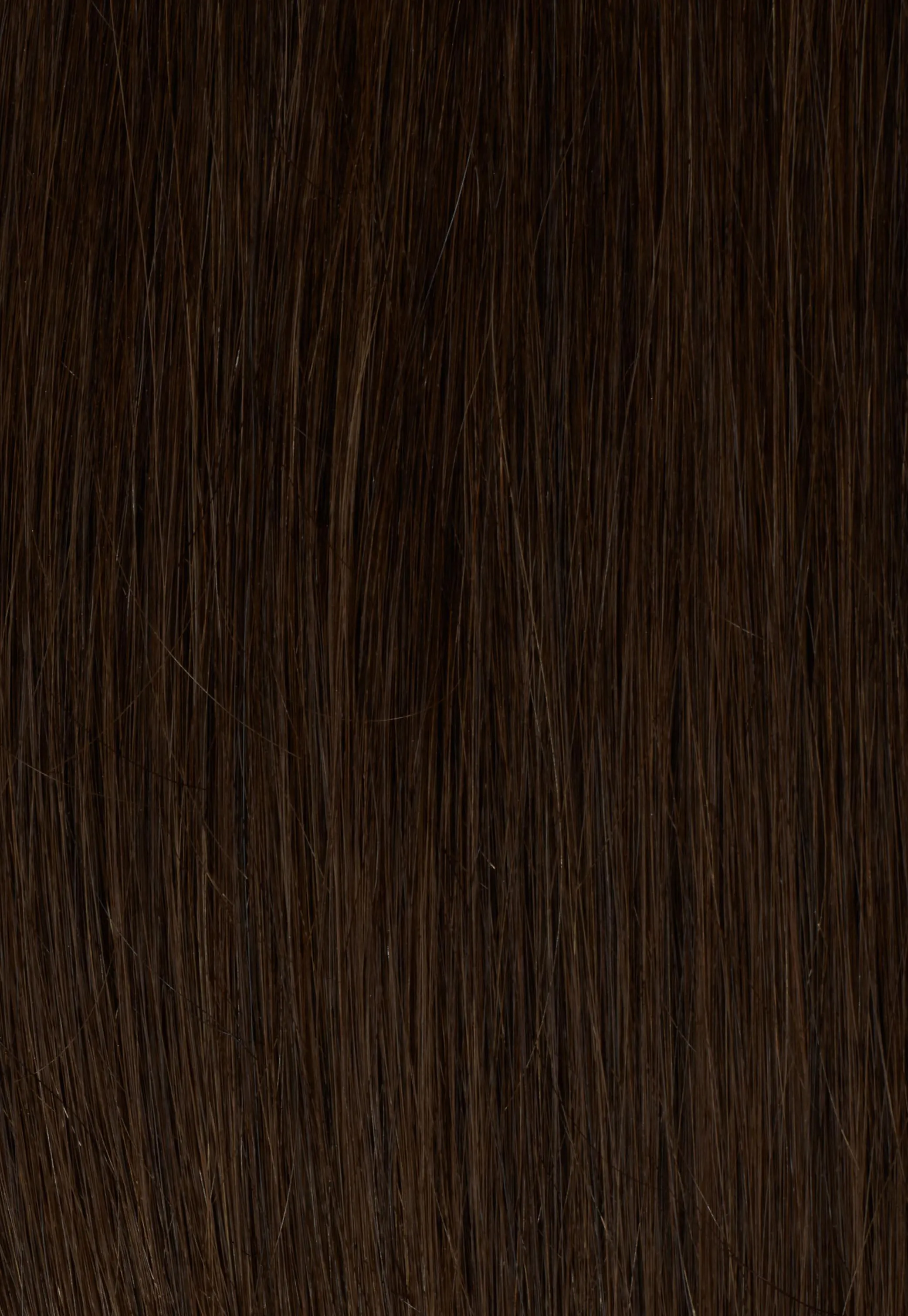 Medium Brown (2B) Halo